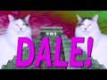 FELIZ CUMPLEAÑOS DALE Canción Comica De Cumpleaños