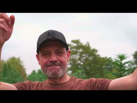 JAMAICAN COLLIE RICKY SAÏ SAÏ