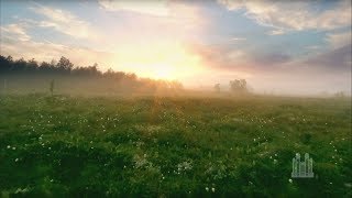 Face the Sun - The Spoken Word