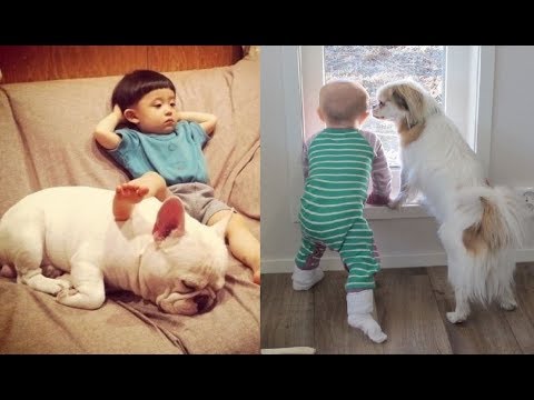 If You Don’t Think Your Kids Need A Dog After Seeing These Pics, You Must Be A Cat( Part 2 )