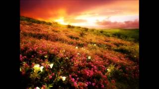 The Derek Trucks Band - Pleasant Gardens