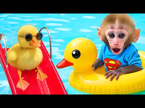 Monkey Baby Bon Bon : A Chaotic Night with Irresistible Requests