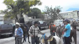 preview picture of video 'A caballo en Arteaga :)'