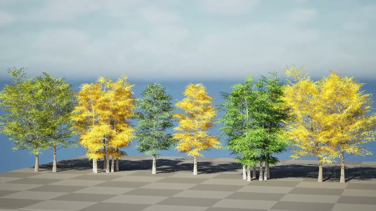 Pacchetto albero di pioppo tremulo Modello 3D