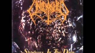 Unleashed - The Immortals