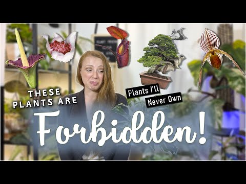 Plants I’ll NEVER Own | And NEITHER will YOU!!