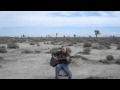 Ashmire - Acoustic Cover Frank Black's Llano Del Rio