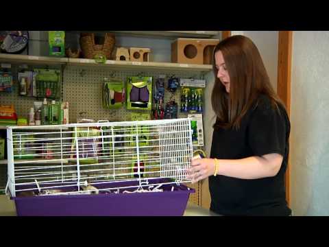 Small Pets : How to Clean a Rabbit's Cage