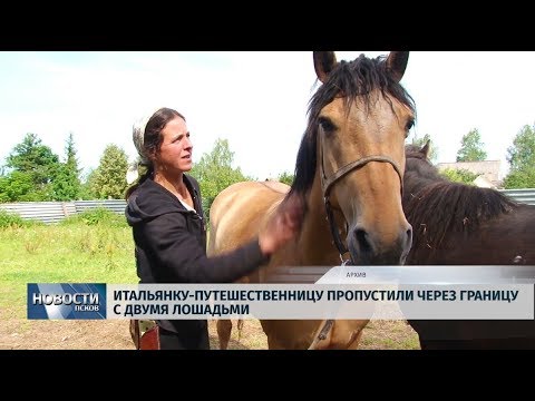 08.08.2019 / Итальянку-путешественницу пропустили через границу с двумя лошадьми