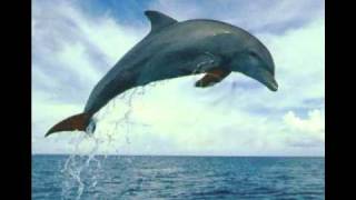 Good Day-Nappy Roots