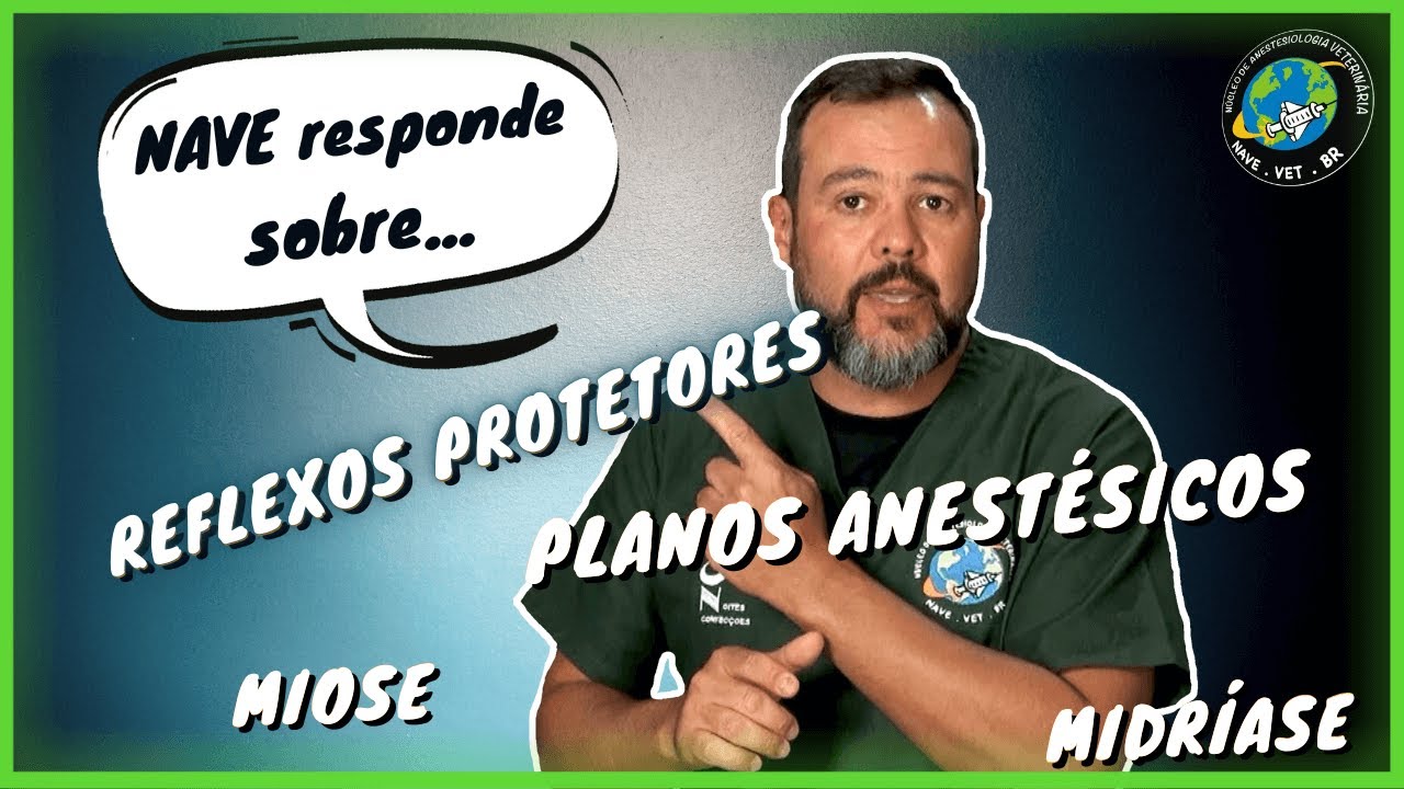 When and How to access Anesthetic depth - Questions and Answers