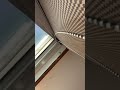 Blac Chyna Instagram Live Stream November 26 2019