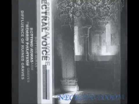 Spectral Voice "Horrid Phantasm"