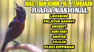 Download lagu KOLIBRI NINJA JUARA NASIONAL FULL TEMBAKAN TONJOLAN MEWAH mp3 Download lagu KOLIBRI NINJA JUARA NASIONAL FULL TEMBAKAN TONJOLAN MEWAH mp3