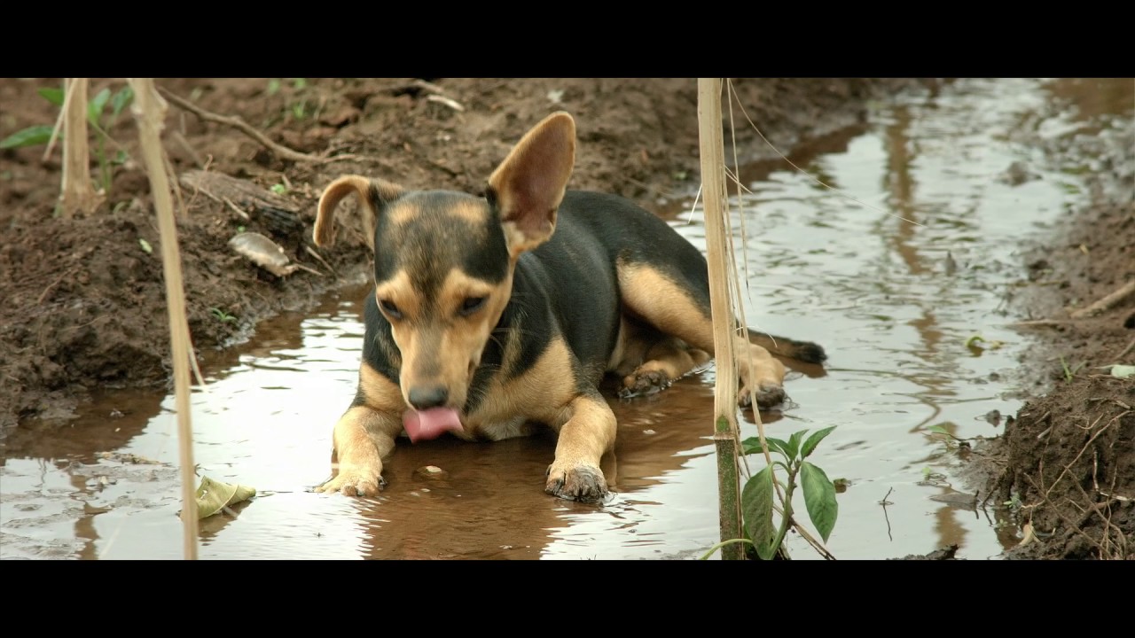 Before It’s too late