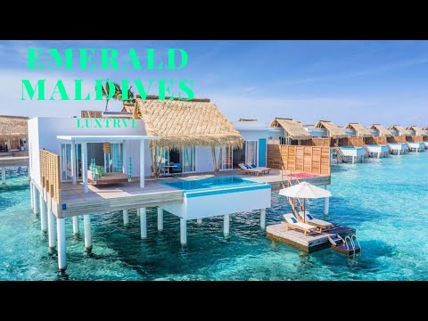 Videos del Emerald Maldives Resort  Spa 5★ en Raa Atoll, MaldivasVer MásVerPrecios19CerrarConsulta por Whatsapp 🇦🇷BookingTripadvisorExpediaAgodaTravelocityOrbitzTripSkyscannerDespegarKayakHotelesBestdayDestiniaTrivagoTurismocityLastminuteHotwireTuiWotif