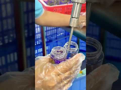Hair Growth Serum Hair Care Third Party Manufacturing