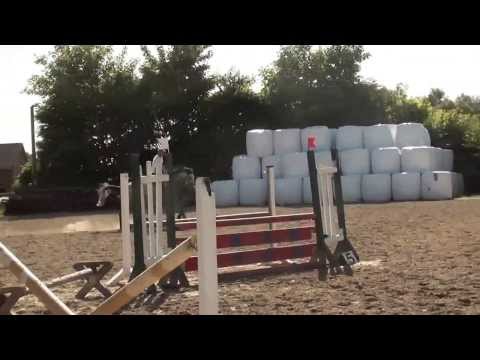 Holsteiner Stute, geb. 2009 von Loran-Alcatraz, Stamm 7126, 4jährig 2013