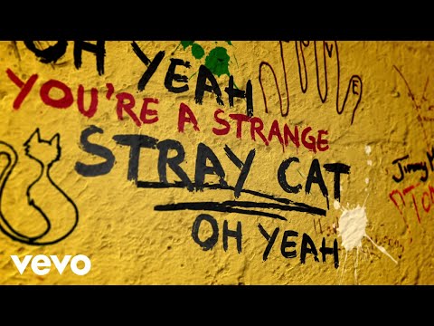 The Rolling Stones - Stray Cat Blues (Official Lyric Video)
