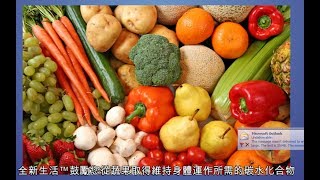 第六週 營養素