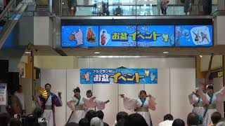 暁　４K～「愛媛よさこい ～夏の陣～ 彩の舞～」