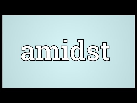 Amidst Meaning
