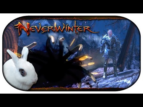 NEVERWINTER: Paladin-LP 🐇 54 - Ein letzter Gefallen