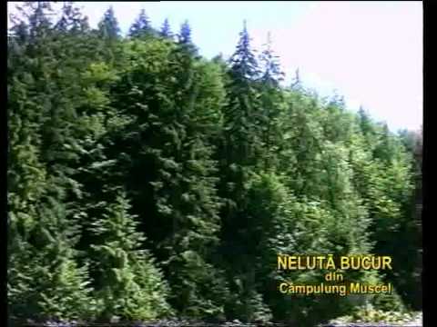 Neluta Bucur Canta cucu intr un fagui Vol 1 partea 3