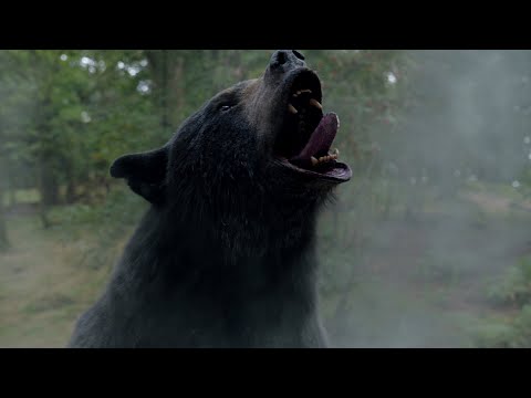 Прев'ю відео