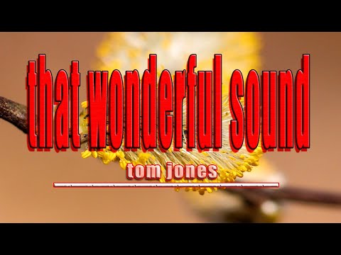 THAT WONDERFUL SOUND  [ karaoke version ] popularized by tom jones