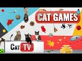 CAT Games | Ultimate Cat TV Compilation Vol 44 | 2 HOURS 🐝🐞🦋🦎🦜🐜🐭🧵
