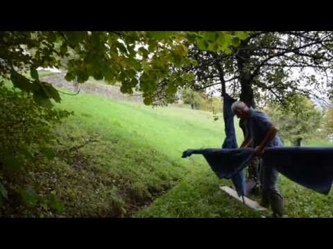 Egance A water sharing tradition Olmedo 2016