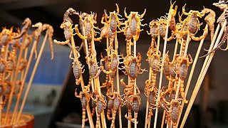 Download lagu Chinese Street Food - Live Scorpions, Insects, Tiger Claws China mp3 Download lagu Chinese Street Food - Live Scorpions, Insects, Tiger Claws China mp3