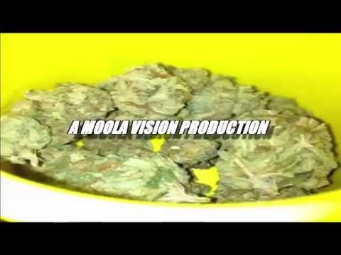 TONY MAINE - WIT DA GANG FREESTYLE (PROD BY BXNKROLL BEATS)