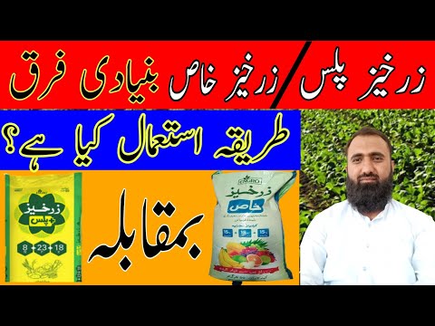 Difference between Zerkhez Plus and Zerkhez Khas | Acidic Fertilizers | Bilal Kanju Official