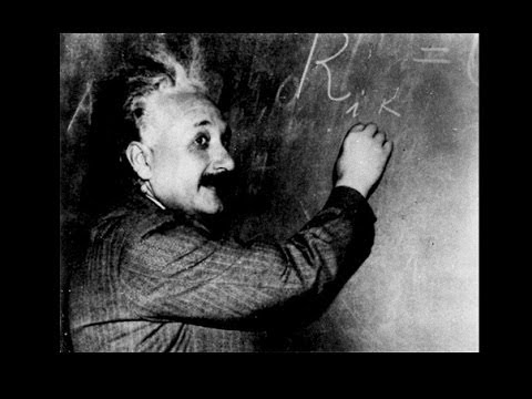 A natural history of scientists