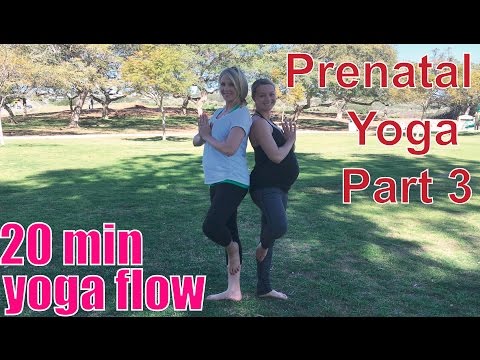 20 Minute Yoga Class - Prenatal Yoga Part 3