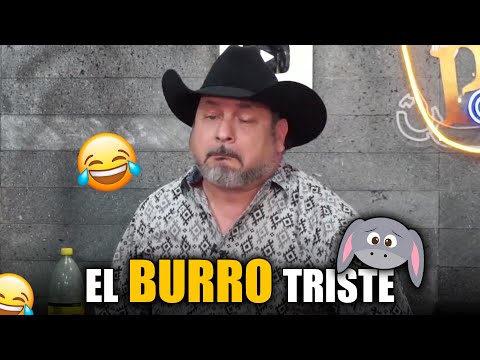 El Burro Triste | Hernán El Potro