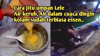 Download lagu Effective catfish bait tricks for murky water and cold weather. Fishing for Galatama catfish mp3