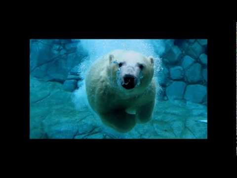 Dj Kultür 2001 - Sesión break beat