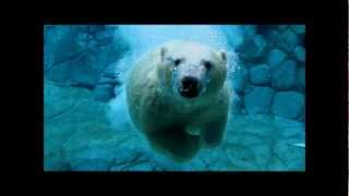 Download lagu Dj Kultür 2001 - Sesión break beat mp3