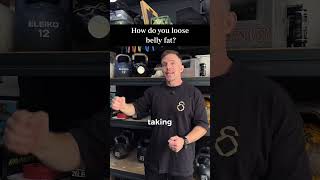 How do you loose belly fat?