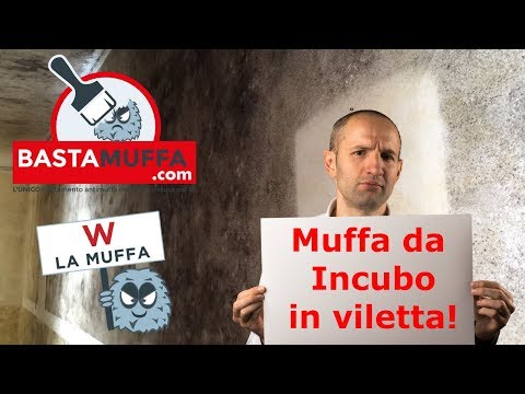 A bambini fino a 3 anni da un verme Parassita di carta warcraft 3