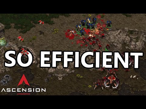 Terran vs. Zerg Clash between Two Strong Macro Players - Ascension