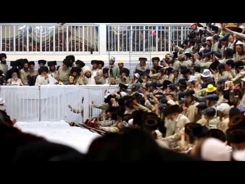 Purim 5777 With Toldos Aharon Rebbe