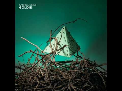 FabricLive 58 - Goldie