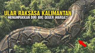 Download lagu Kemunculan Ular Raksasa Tangkalaluk Bakal Bikin Geger Warga Kalimantan, Jika Benar❗ mp3