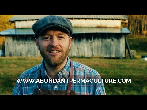 Abundant Permaculture