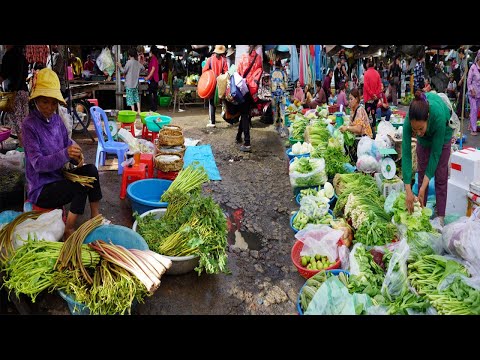 Amazing Cambodian Wet Market Scene In Phnom Penh – Plenty Fresh Fish, Meat & More Food In Market