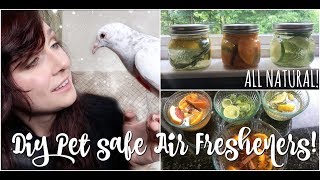 DIY BIRD / PET SAFE AIR FRESHENER RECIPES | All Natural Fragrances | Simmer Pots by Maddie Smith
